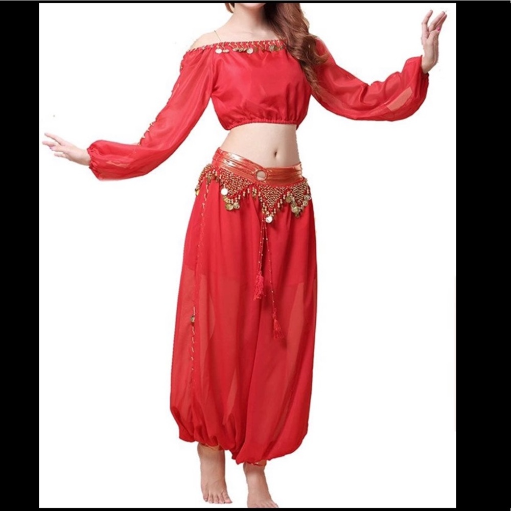 Belly Dance Chiffon Women Custome